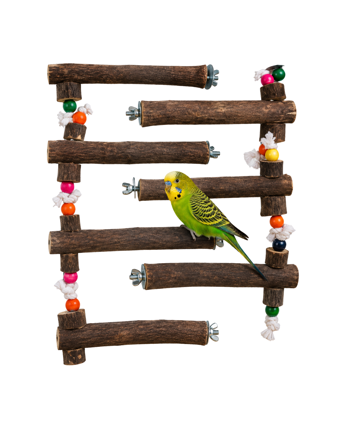 12-Inch Natural Neem Wood Bird Perch – WP02