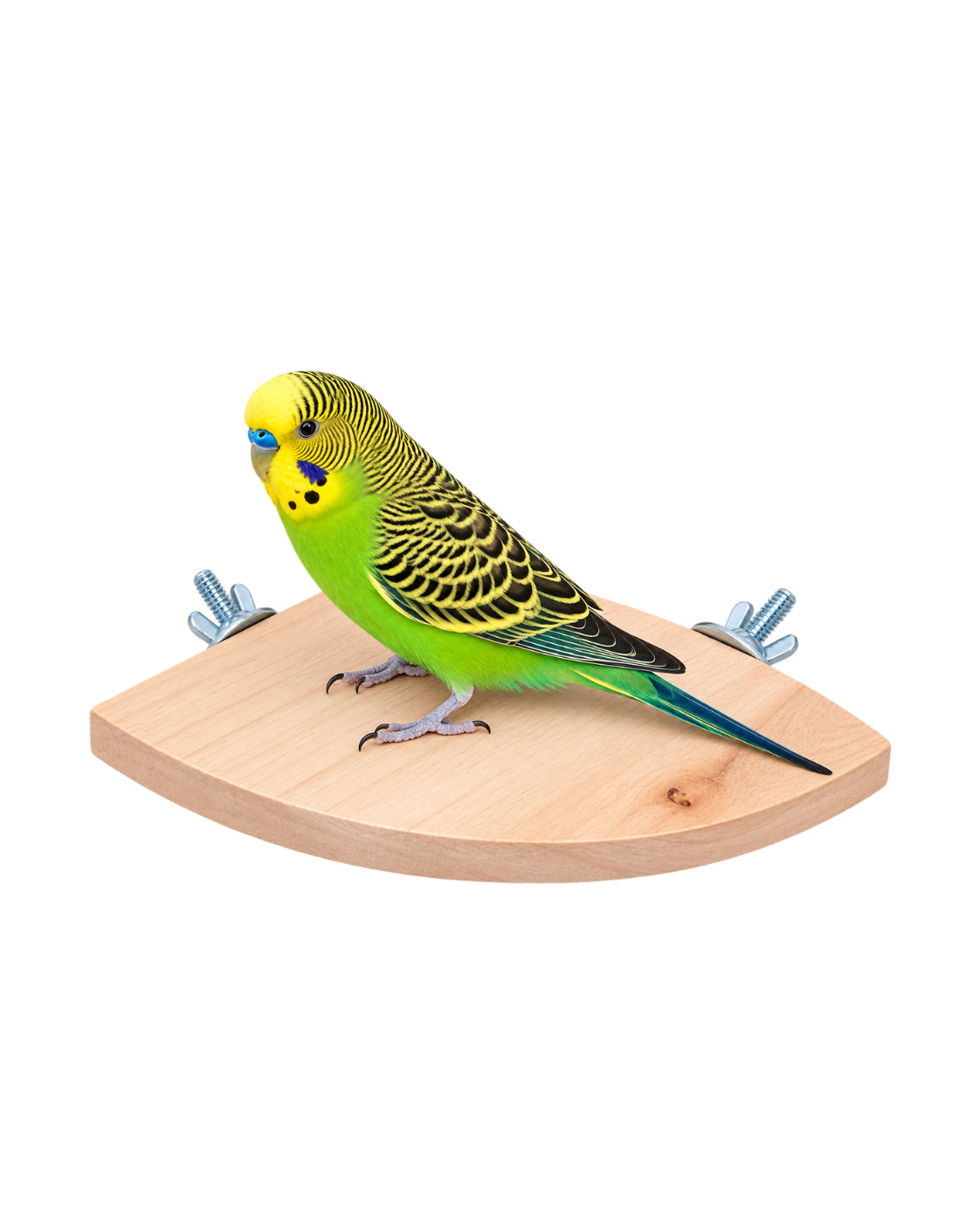 15 CM Natural Wooden Corner Bird Perch Platform – WP04