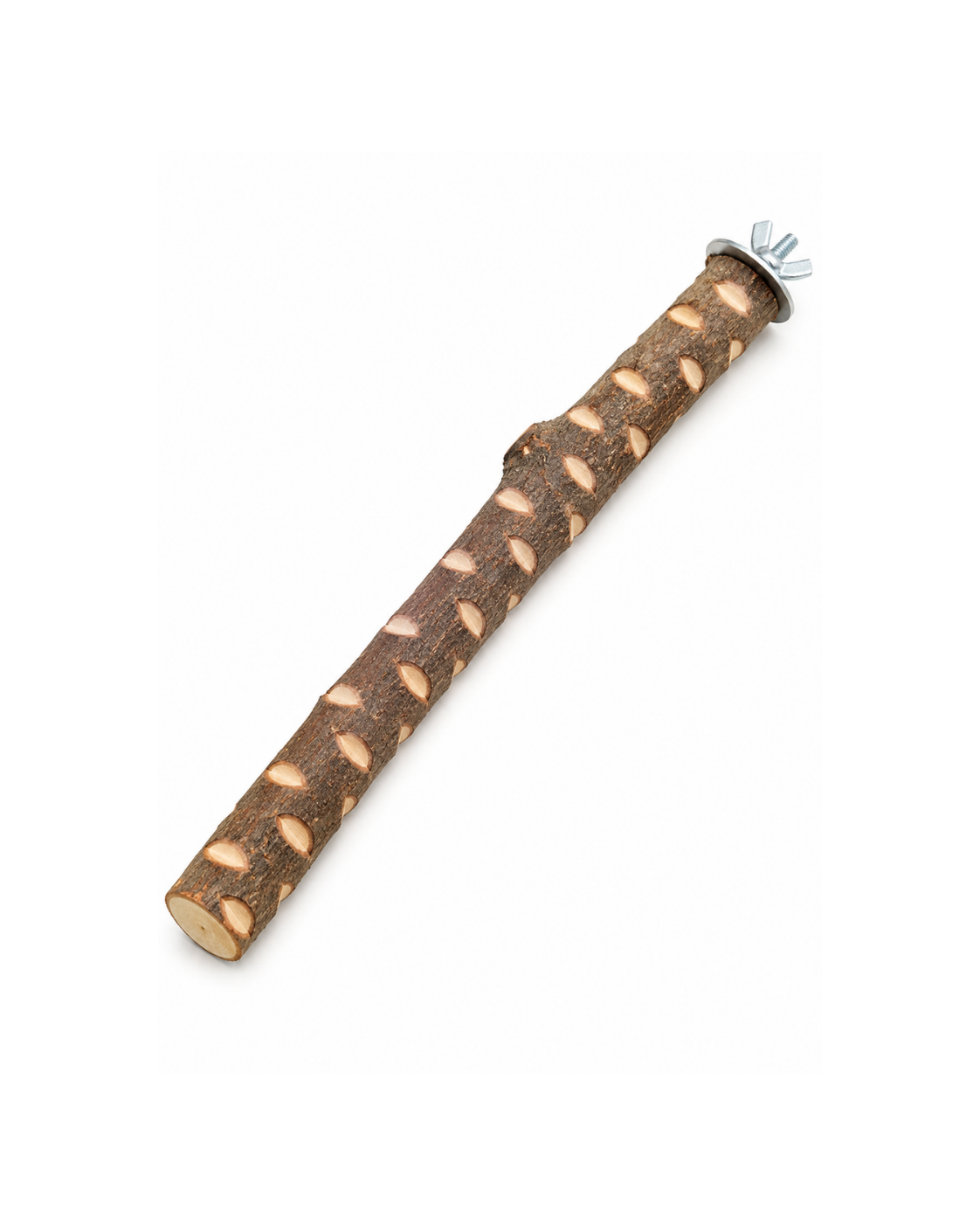 3–5 CM Thick Natural Neem Wood Bird Perch – WP05 - Image 2