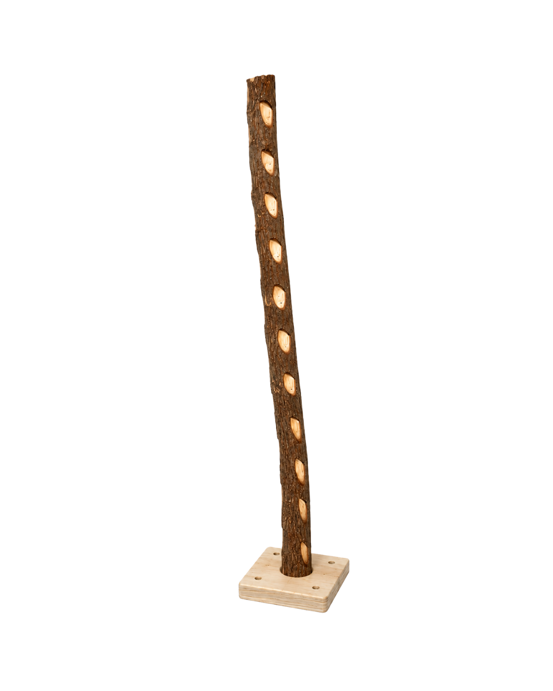 Natural Dotted Wood Bird Perch – WP08 - Image 2