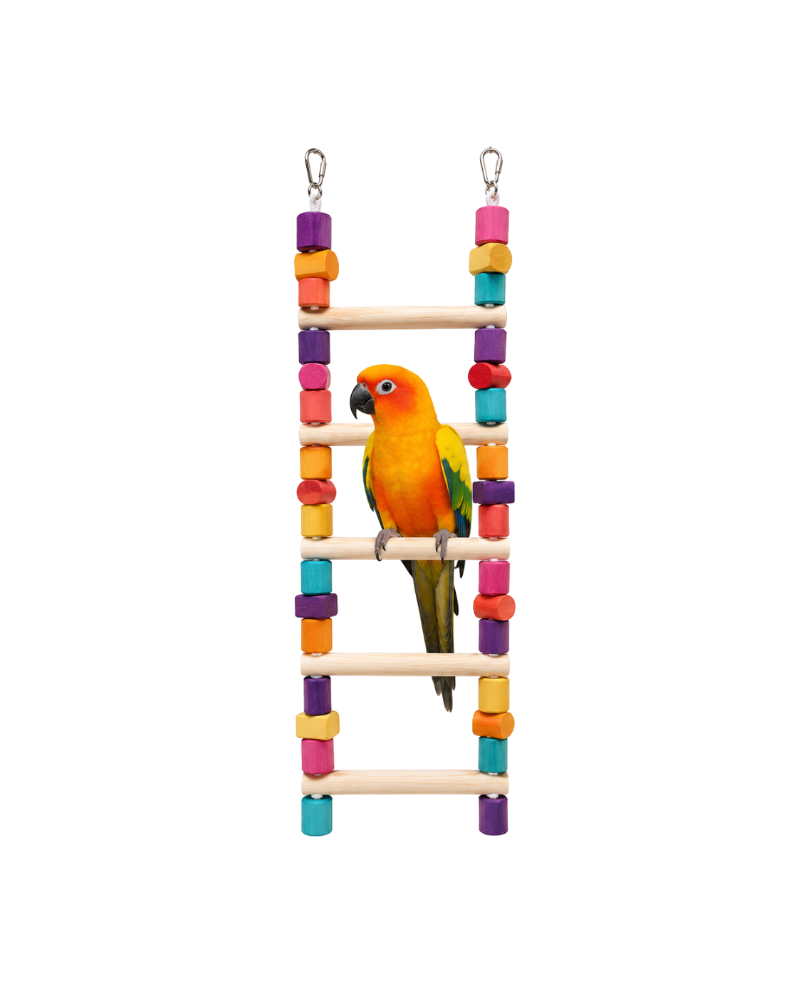 3 Ft Pine Wood Bird Ladder with Colorful Wooden Beads – WL03