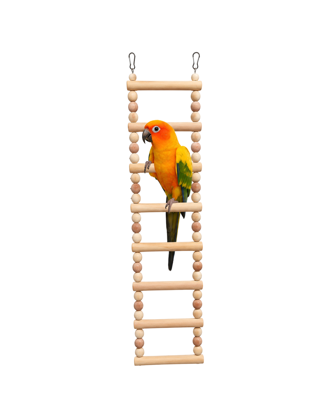 60 CM Wooden Beaded Bird Ladder with Stainless Steel Wire – WL04