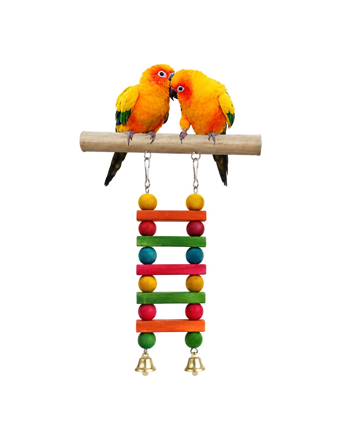Wooden Bird Perch with Colourful Hanging Ladder – WL09