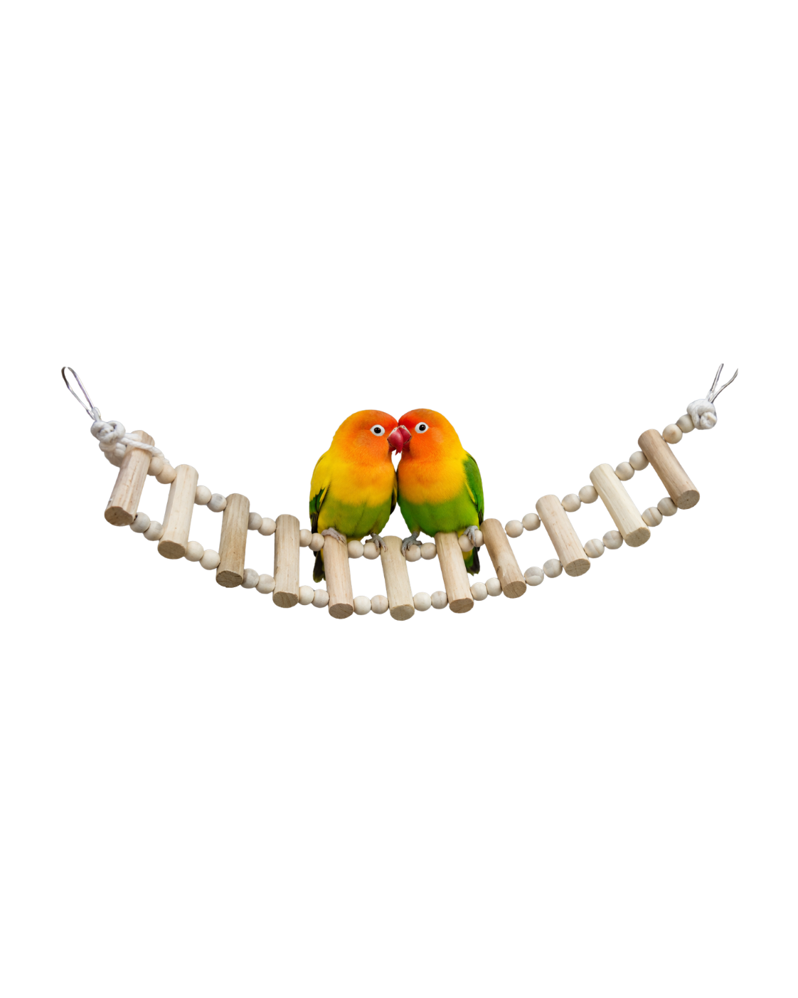1.5 Ft Pine Wood Flexible Bird Ladder with Cotton Rope – WL10