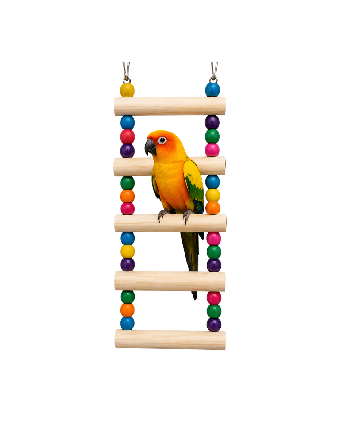 1 Ft Pine Wood Bird Ladder with Colourful Wooden Beads – WL11
