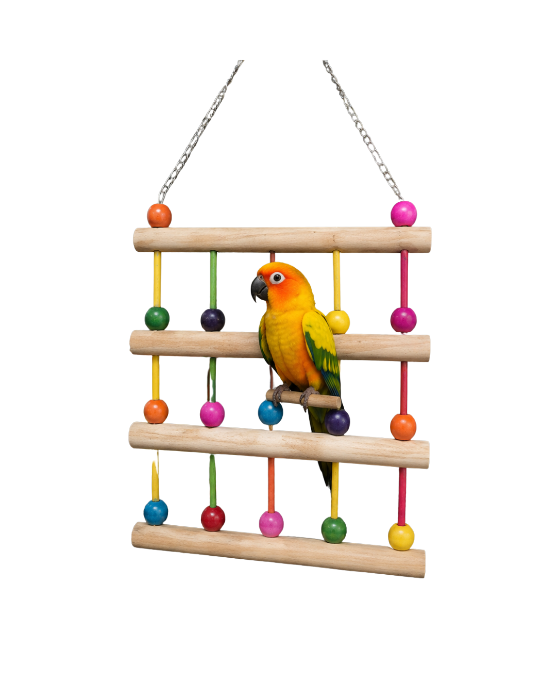 1.5 Ft × 1 Ft Pine Wood Bird Climbing Ladder with Colourful Beads – WL13