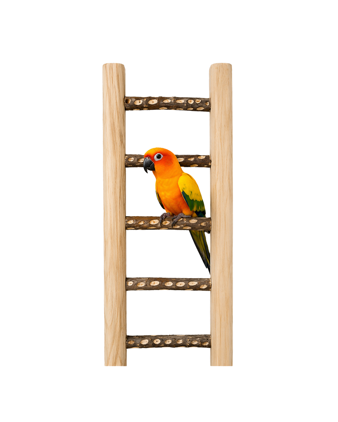 3 Ft Heavy Neem Wood Bird Ladder with Natural Steps – WL14