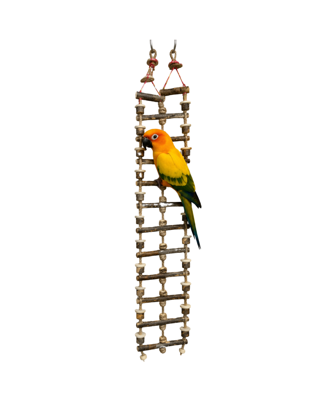 8 Ft Extra Long Dotted Neem Wood Bird Ladder with Jute Rope – WL16