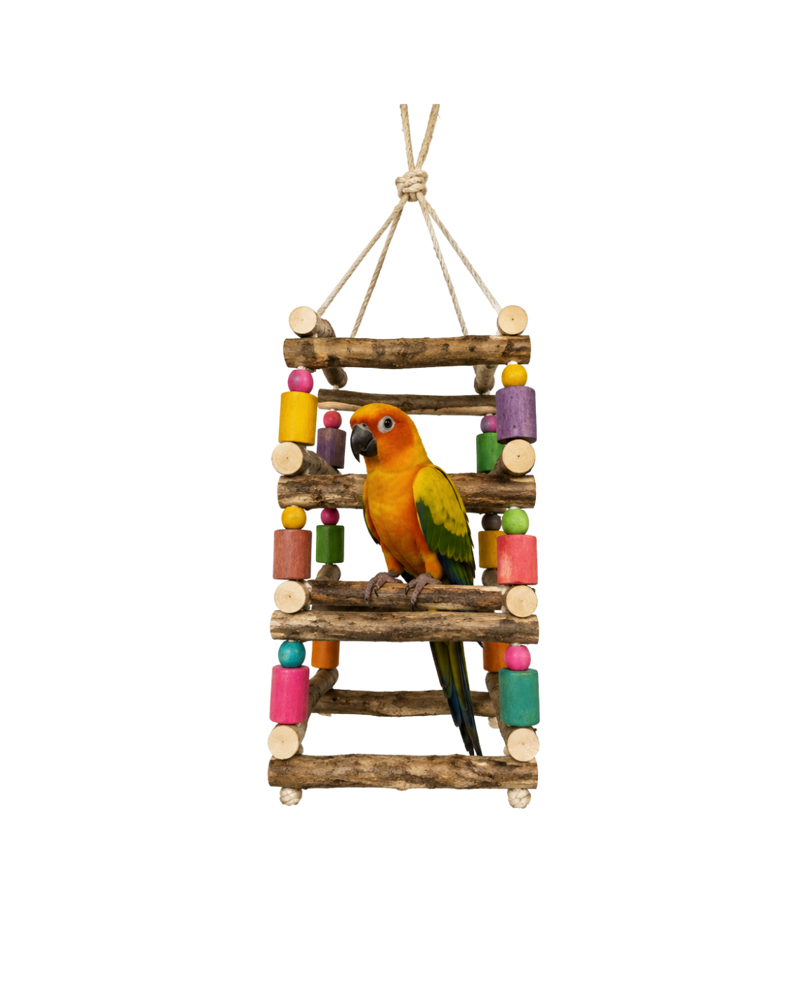 4-Sided Neem & Eucalyptus Wood Bird Climbing Ladder with Cotton Rope – WL17