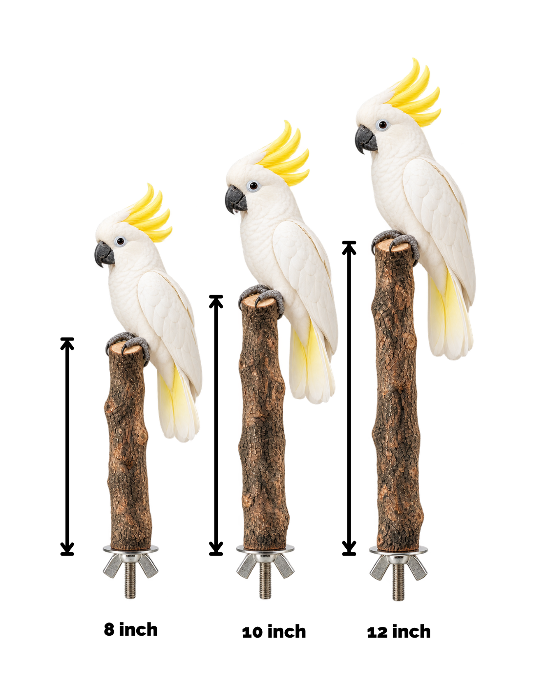 Natural Wooden Bird Perch with Wing Nut - WP10 - Image 2