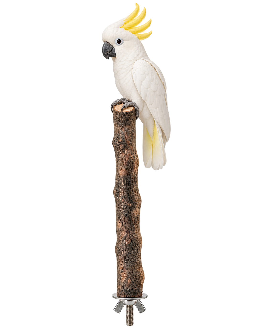 Natural Wooden Bird Perch with Wing Nut - WP10