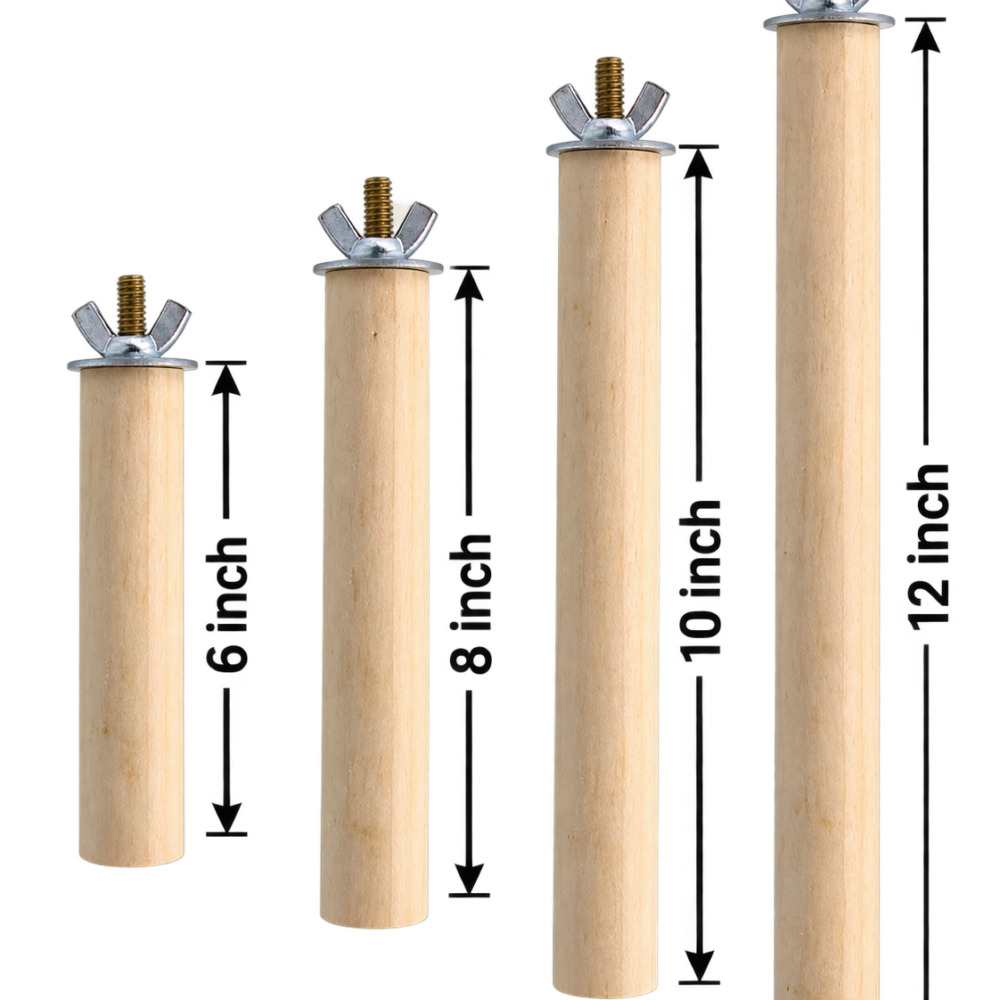 Shop Secondary Image